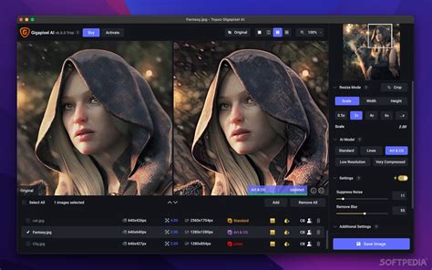 Topaz Gigapixel AI 6 Free Download File
